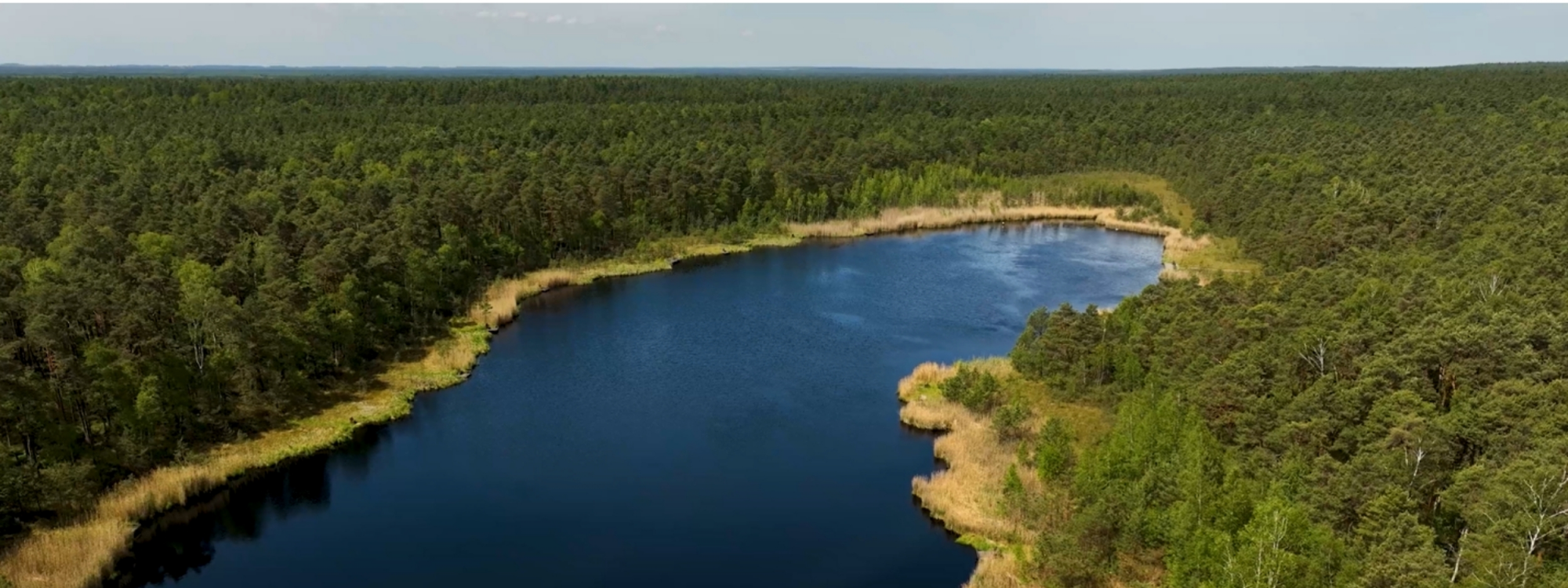 Park Krajobrazowy Lasy Nad Górną Liswartą